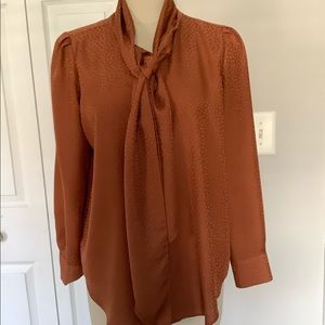 Ann Taylor Petite Medium tie neck blouse.